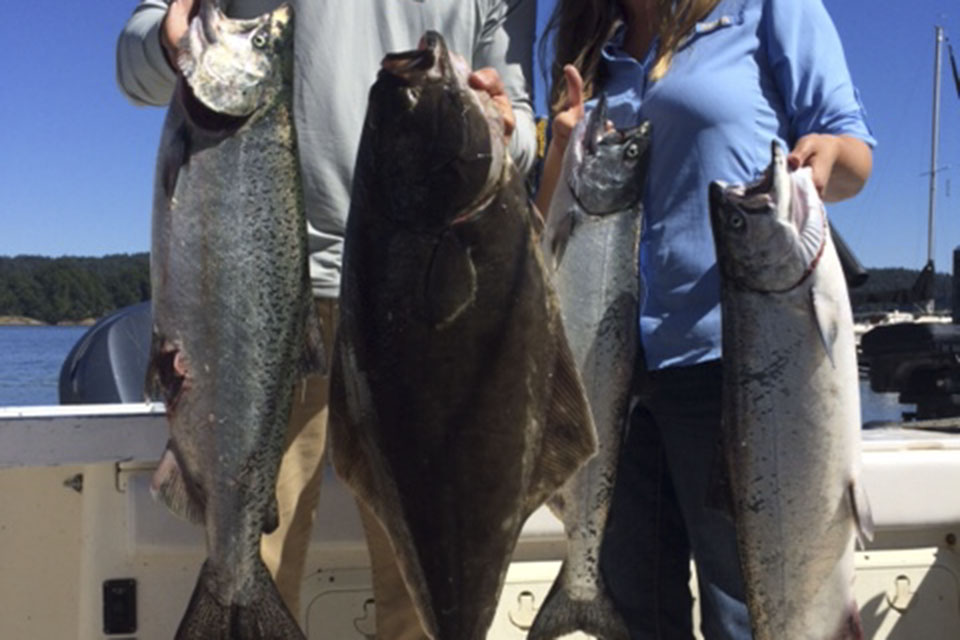 Chinook salmon and halibut